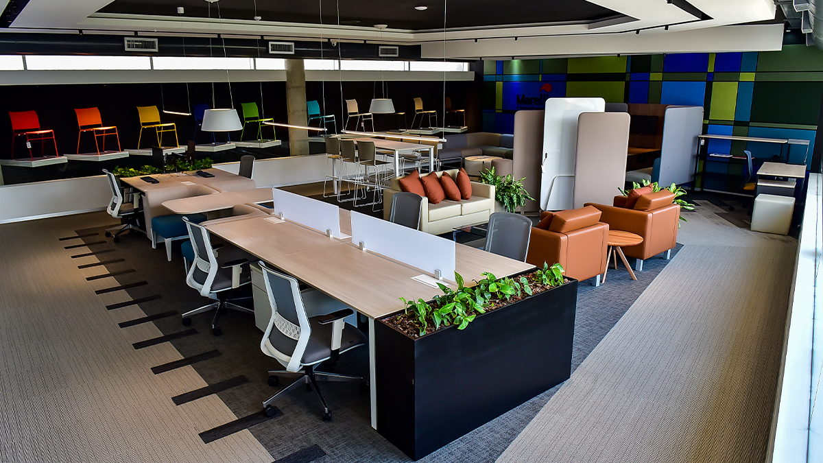 5 Budget Friendly Office Fit Out Ideas to Create a Professional Look